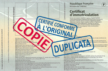 Duplicata carte grise