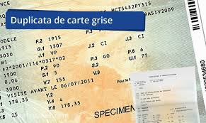 Duplicata carte grise